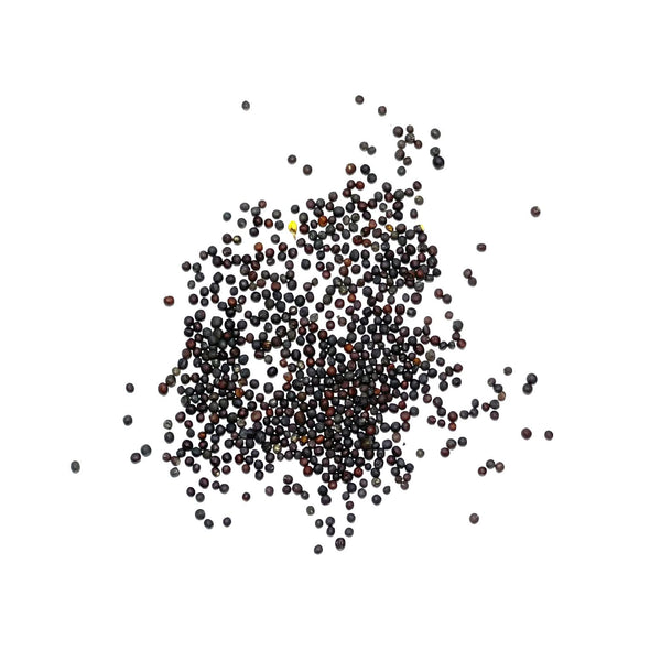 Georgia Southern Collard Seeds For Planting (Brassica oleracea)