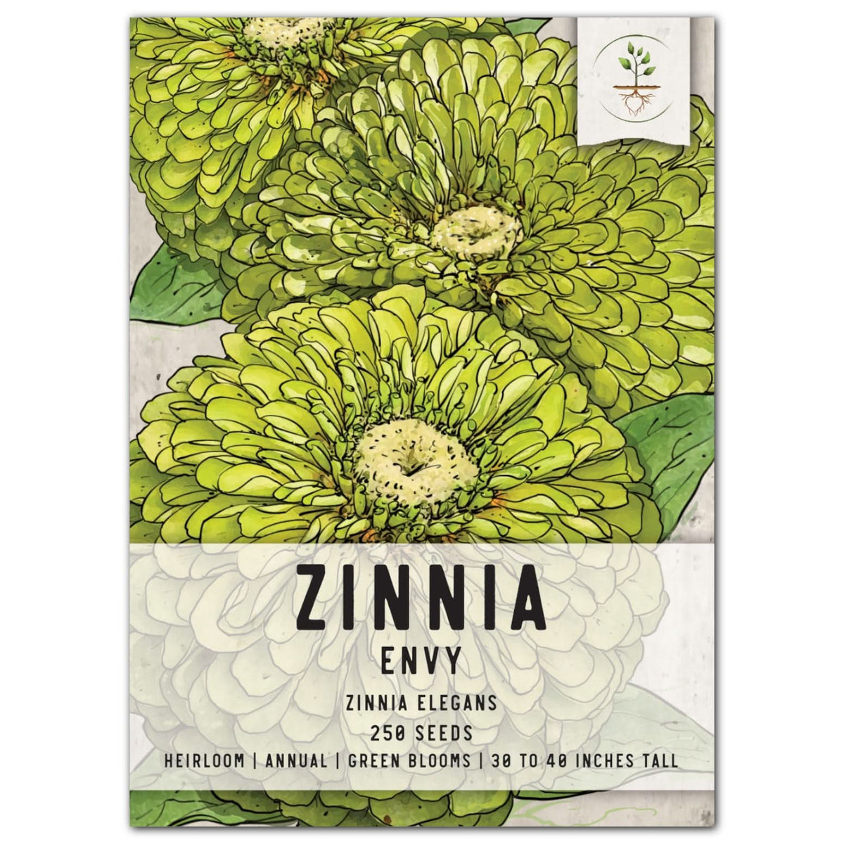 zinnia flower seeds Envy Zinnia Seeds For Planting (Zinnia elegans) Seed Needs – Seed Needs LLC