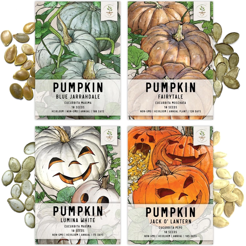 pumpkin seeds to plant for sale Specialty Pumpkin Collection – Seed Needs LLC