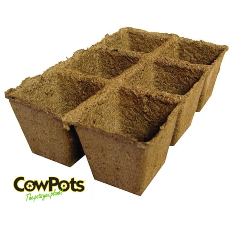 do you plant biodegradable pots 3" CowPots