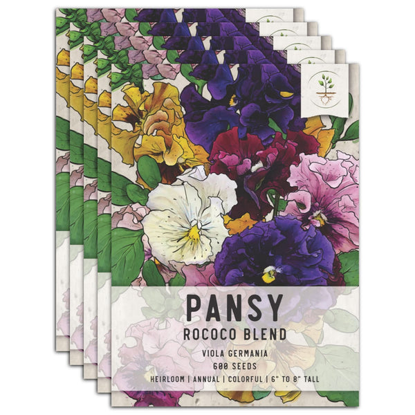 Rococo Pansy Seeds For Planting (Viola germania)