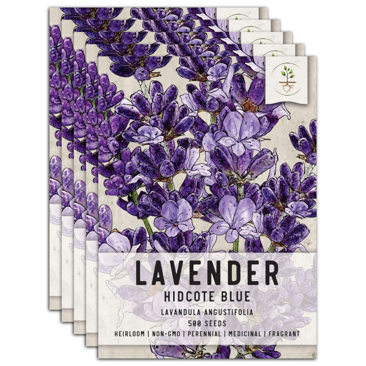 lavender seed collection Hidcote Lavender Seed For Planting (Lavandula angustifolia) Seed Needs – Seed Needs LLC