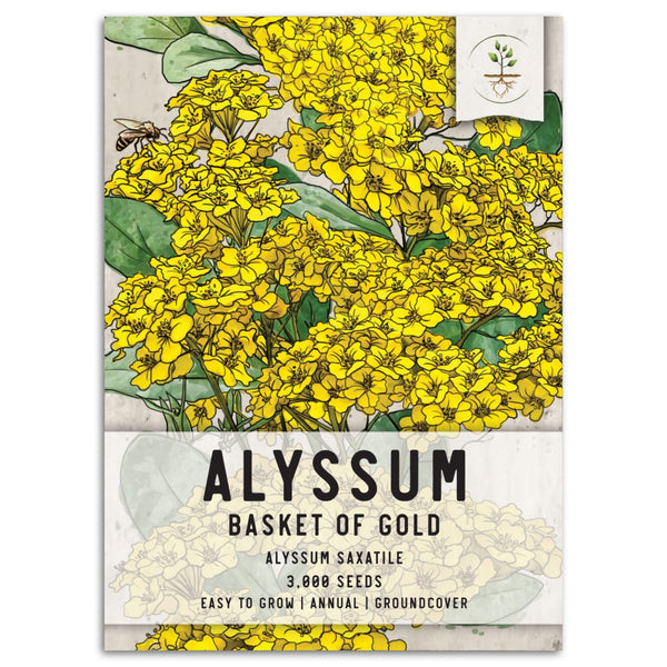 Basket of Gold Alyssum Seeds For Planting (Aurinia saxatilis)