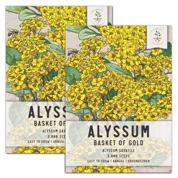 Basket of Gold Alyssum Seeds For Planting (Aurinia saxatilis)
