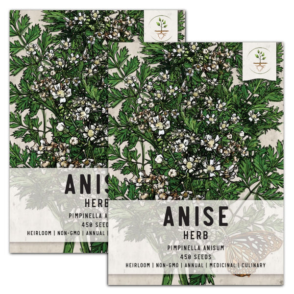 Anise Herb Seeds For Planting (Pimpinella anisum)