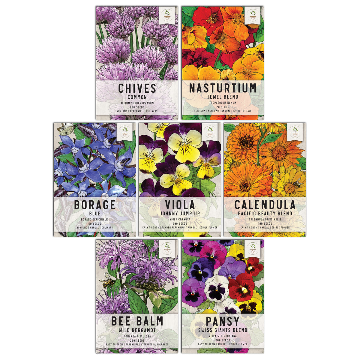 12 Edible Flower Seeds Variety Pack for Planting Indoor & Outdoors. 2300+ Non-GMO Heirloom Flower Garden Seeds: Borage, California Poppy, Cape