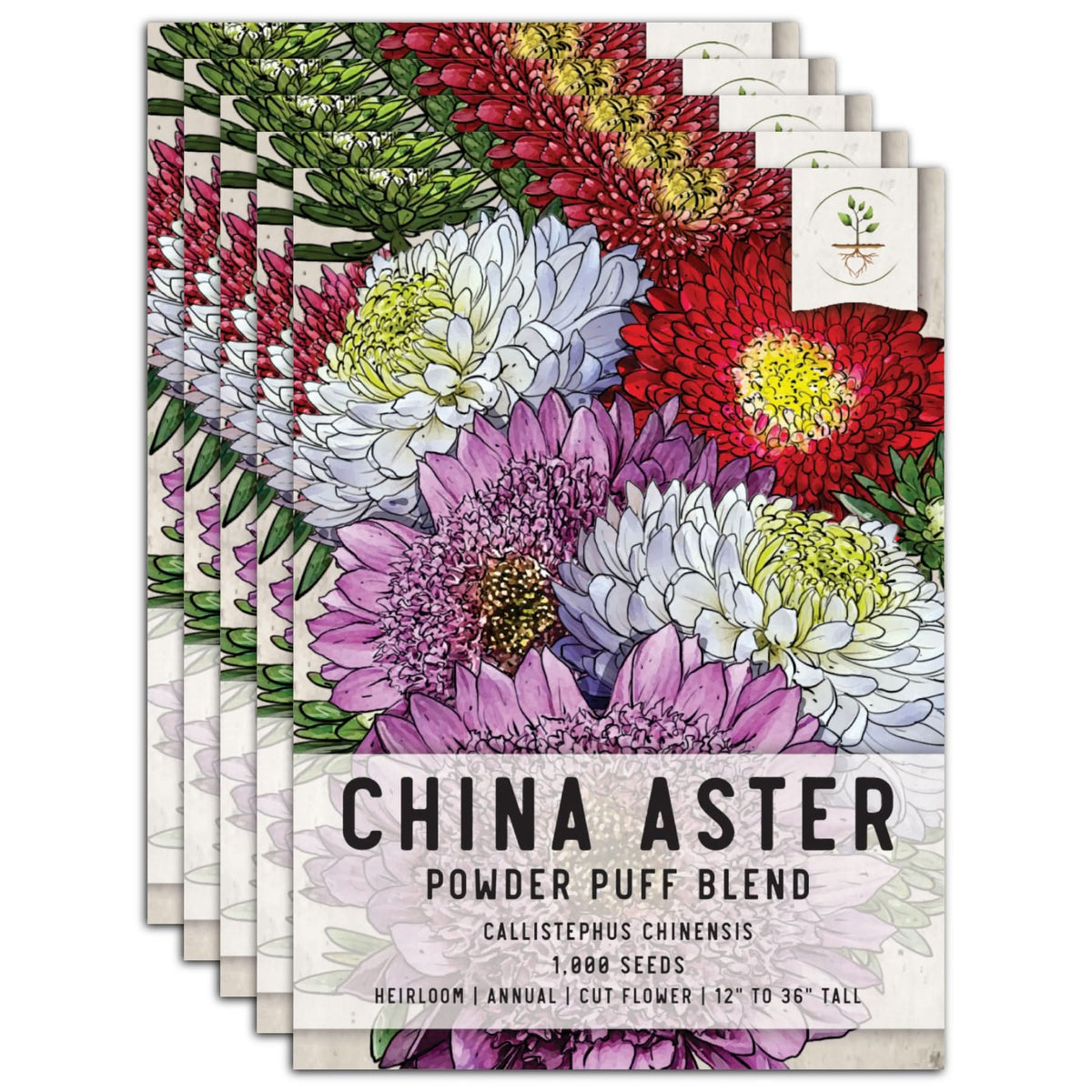 Powder Puff China Aster Seeds For Planting (Callistephus chinensis