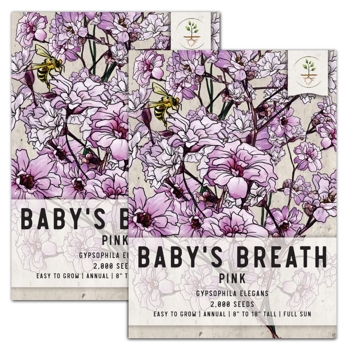 Baby's Breath Seeds, Gypsophila Elegans - 1/4 lb + Bulk Sizes