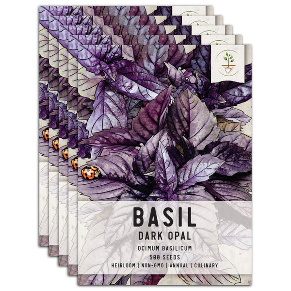 Dark Opal Basil Seeds For Planting (Ocimum basilicum)