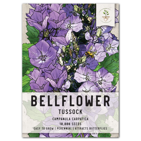Tussock Bellflower Seeds For Planting (Campanula carpatica)