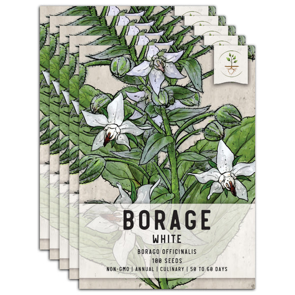 White Borage Seeds For Planting (Borago officinalis)