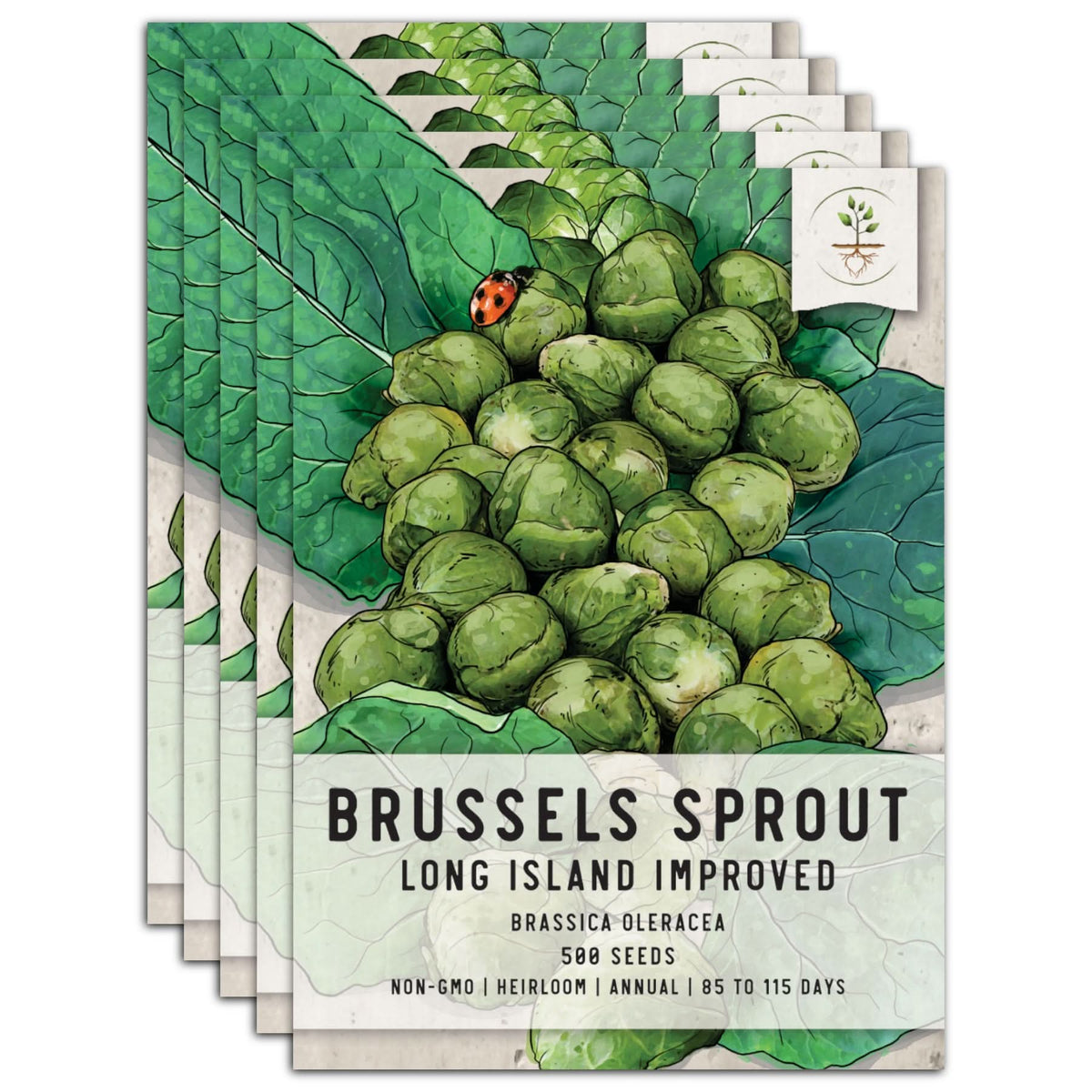 Brussels Sprout Seeds For Planting, Long Island Improved (Brassica