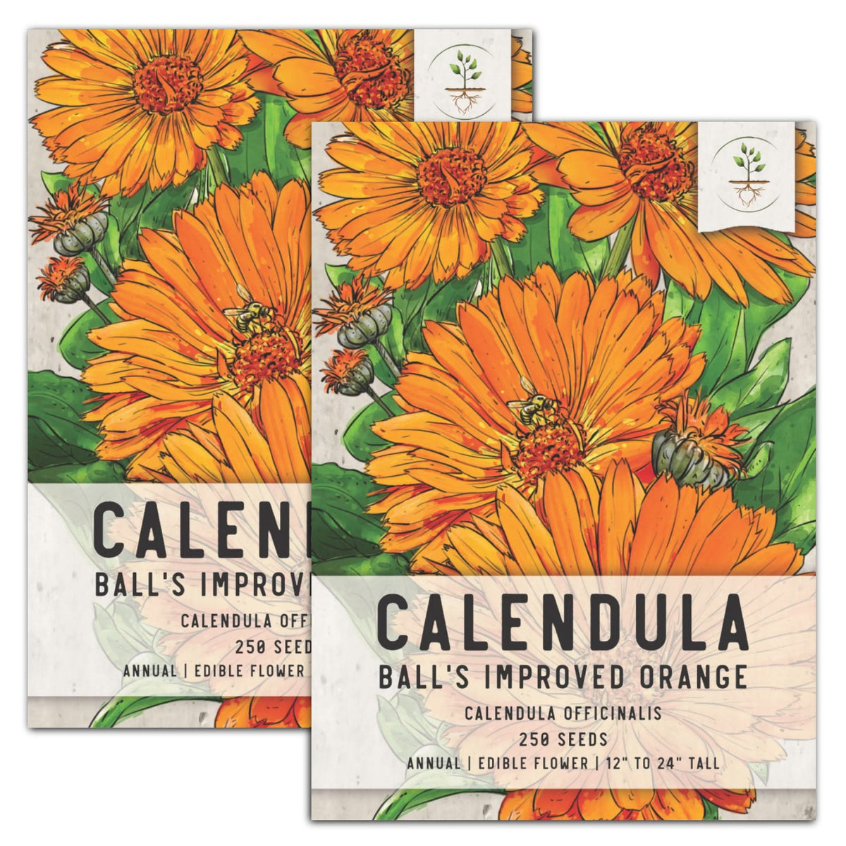 calendula flower seeds Balls Improved Orange Calendula Seeds For Planting