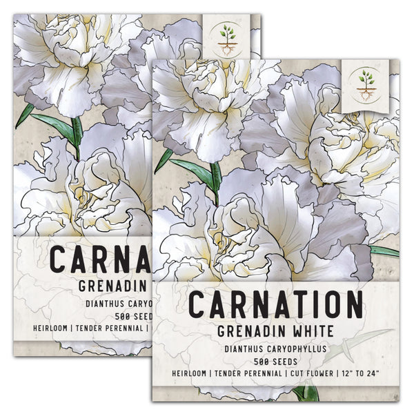grenadin white carnation seeds for planting