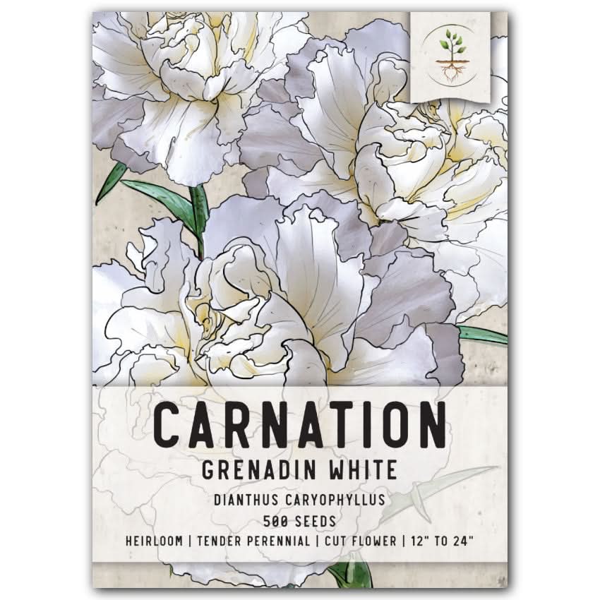 CARNATIONGRENADINWHITE_1200x12