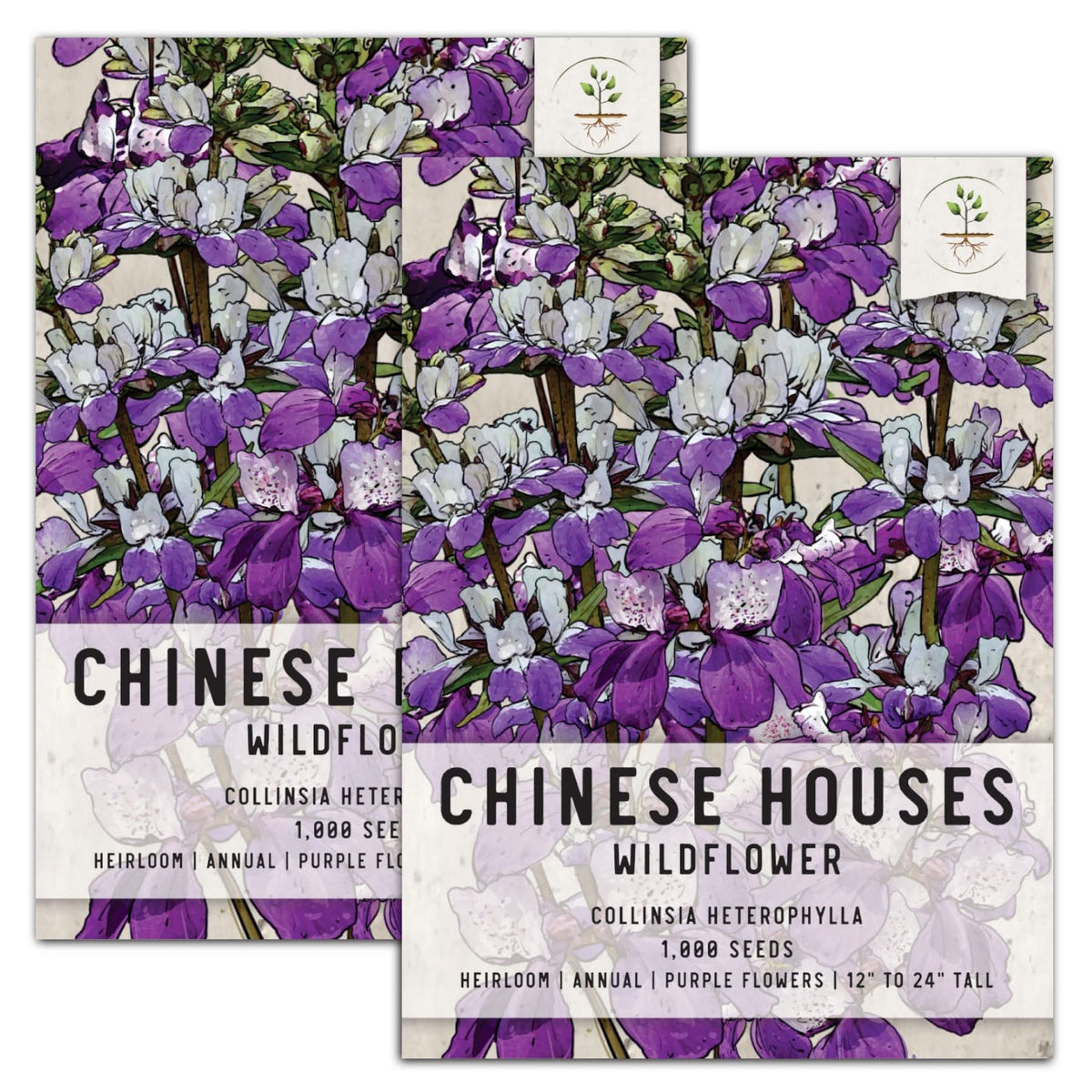 その他 KOOKRRR zhengyuxxx SEEDSEED Chinese Houses Seeds For Planting (Collinsia heterophylla) – Seed