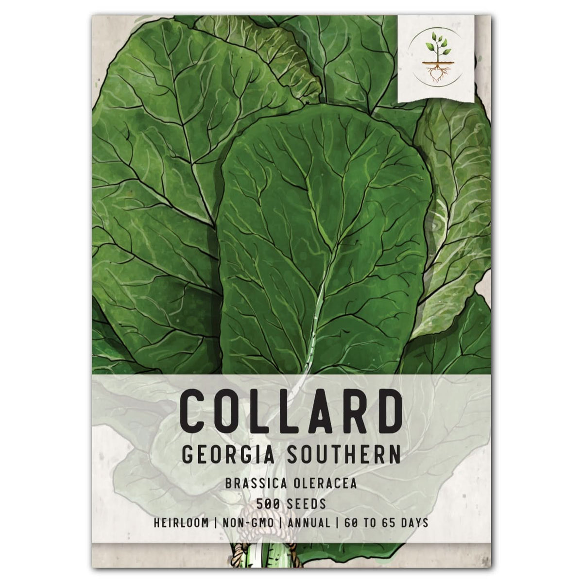 Georgia Southern Collard Greens Seeds – Heirloom, Non-GMO, 50+ Seeds