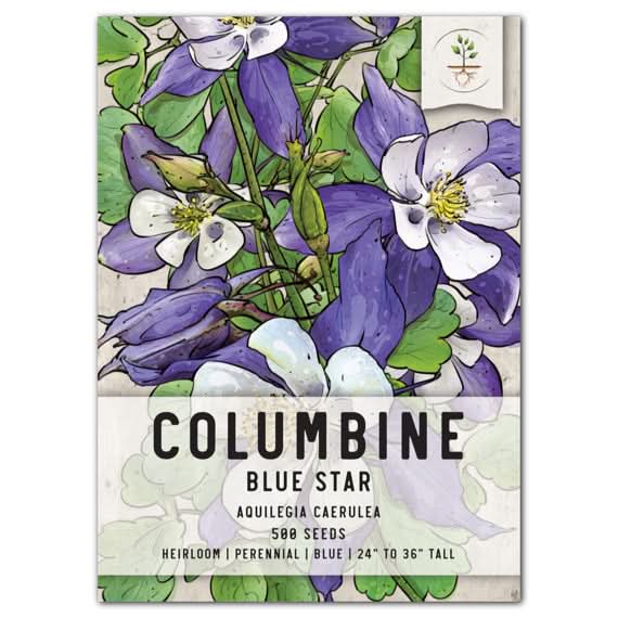 Blue Star Columbine Seeds For Planting (Aquilegia caerulea) Seed Needs –  Seed Needs LLC