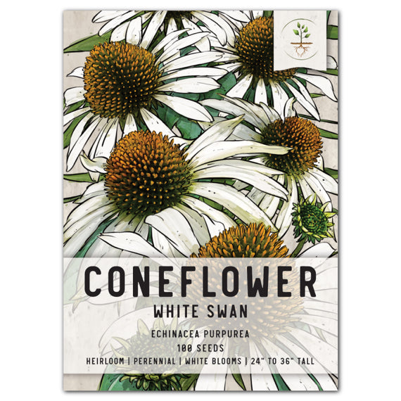White Swan Coneflower Seeds For Planting (Echinacea purpurea)