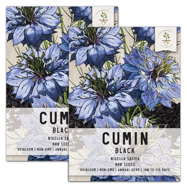 black cumin herb seeds for planting