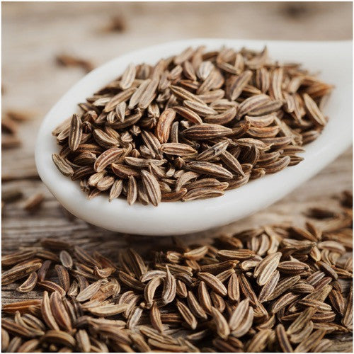 caraway herb seeds for planting