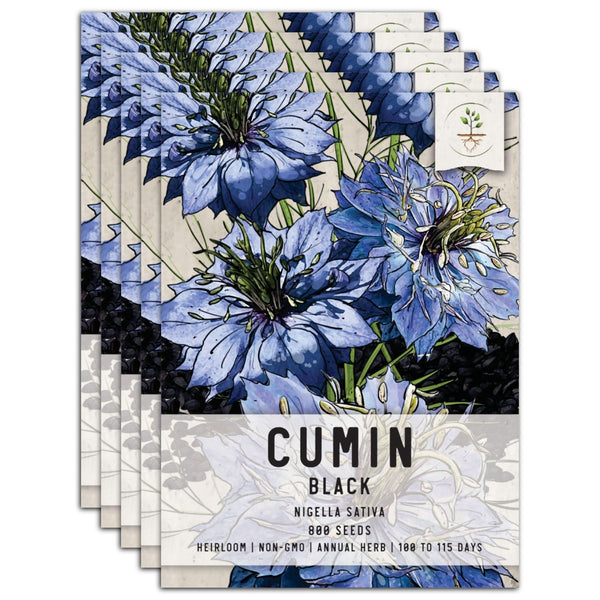 Black Cumin Herb Seeds For Planting (Nigella sativa)