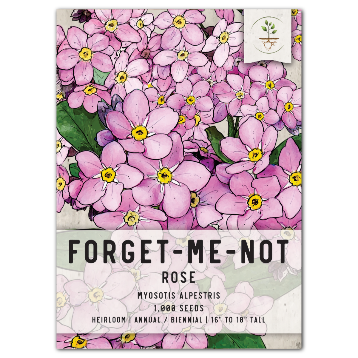 White Forget-Me-Not Seeds For Planting (Myosotis alpestris) Seed Needs –  Seed Needs LLC