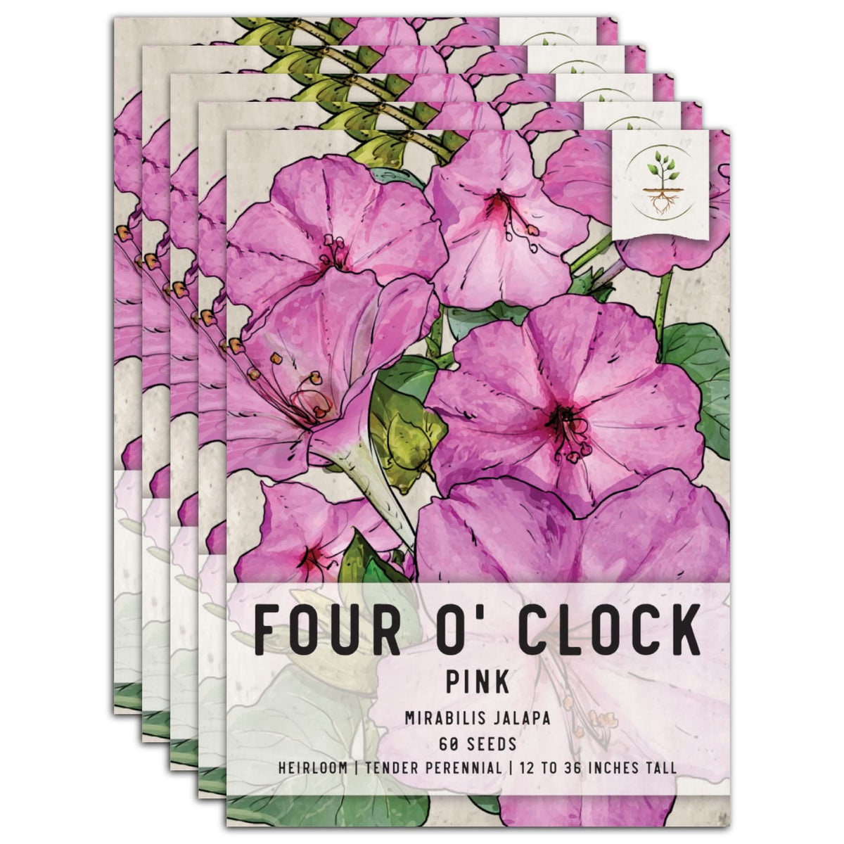 pink flower seed packets Pink Four O' Clock Seeds For Planting (Mirabilis jalapa) – Seed Needs LLC