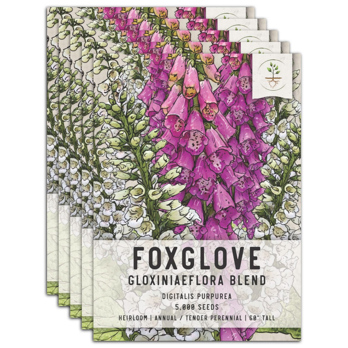 Gloxiniaeflora Foxglove Seeds For Planting (Digitalis purpurea) – Seed  Needs LLC