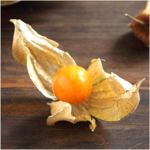 ground cherry tomatillo seeds for planting