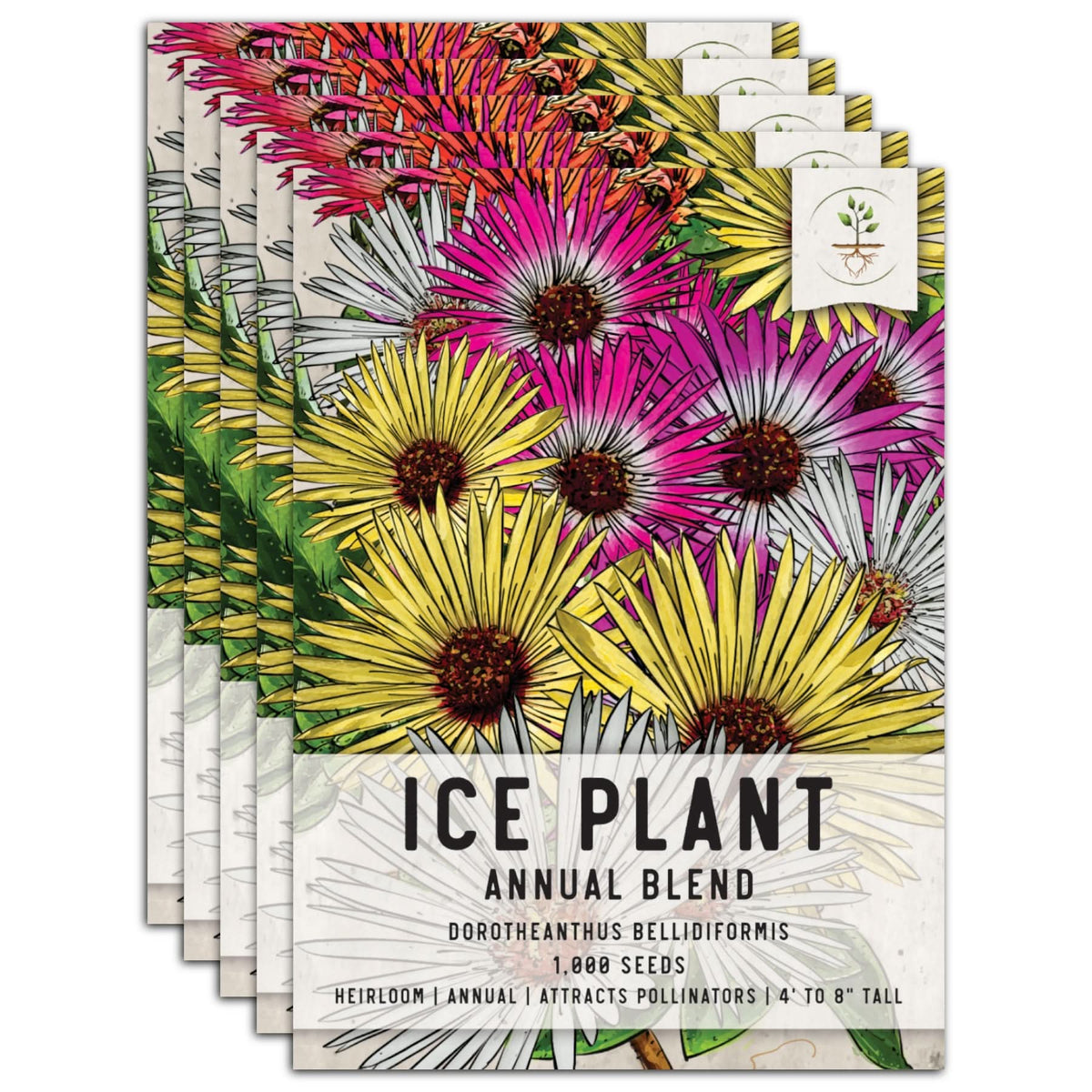 grow ice plant from seed Annual Ice Plant Seeds For Planting (Dorotheanthus bellidiformis) – Seed  Needs LLC