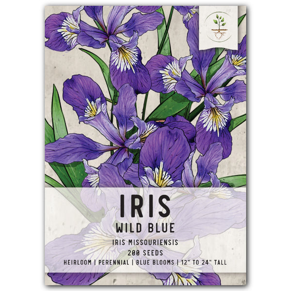Wild Blue Iris Flower Seeds For Planting (Iris missouriensis)