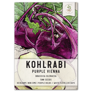 purple vienna kohlrabi seeds for planting