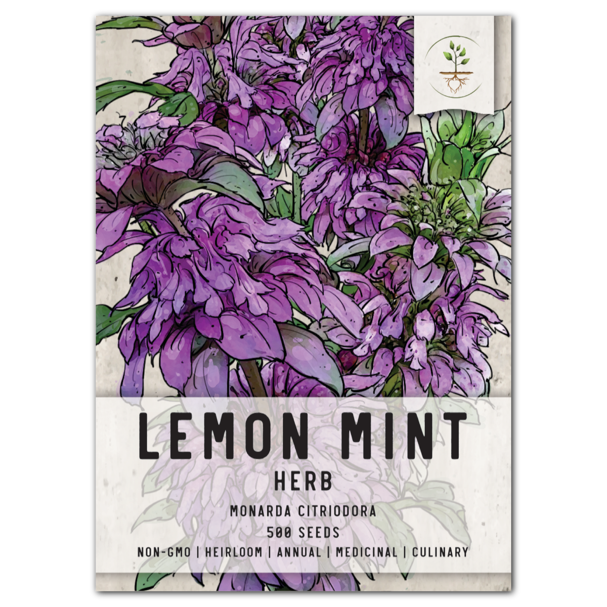 planting lemon seeds for smell Lemon Mint Seeds For Planting (Monarda citriodora)