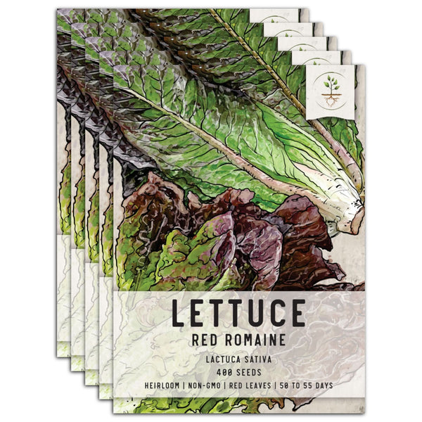 Red Romaine Lettuce Seeds For Planting (Lactuca sativa)