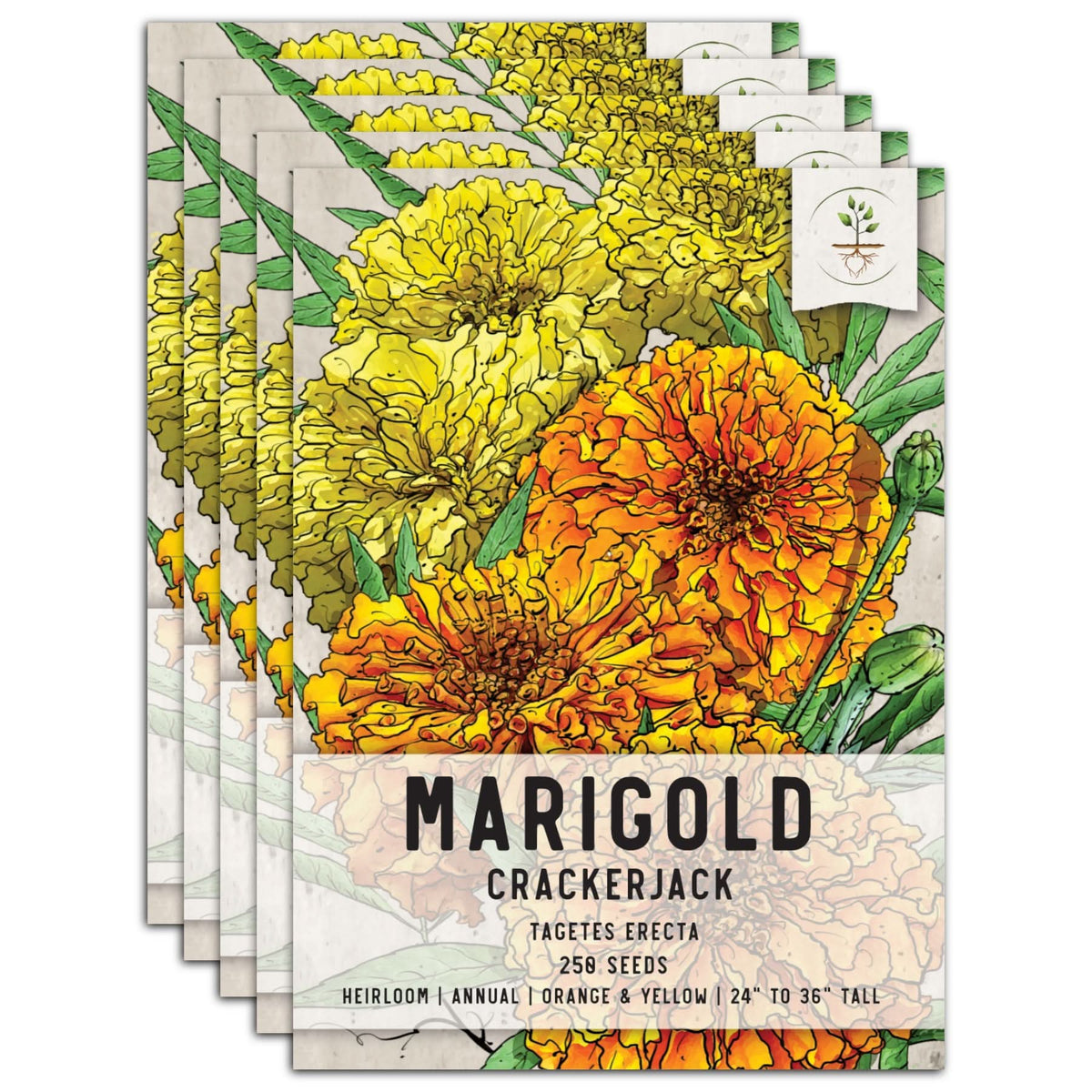 heirloom marigold seeds Crackerjack Marigold Seeds For Planting (Tagetes erecta) Seed Needs – Seed Needs LLC