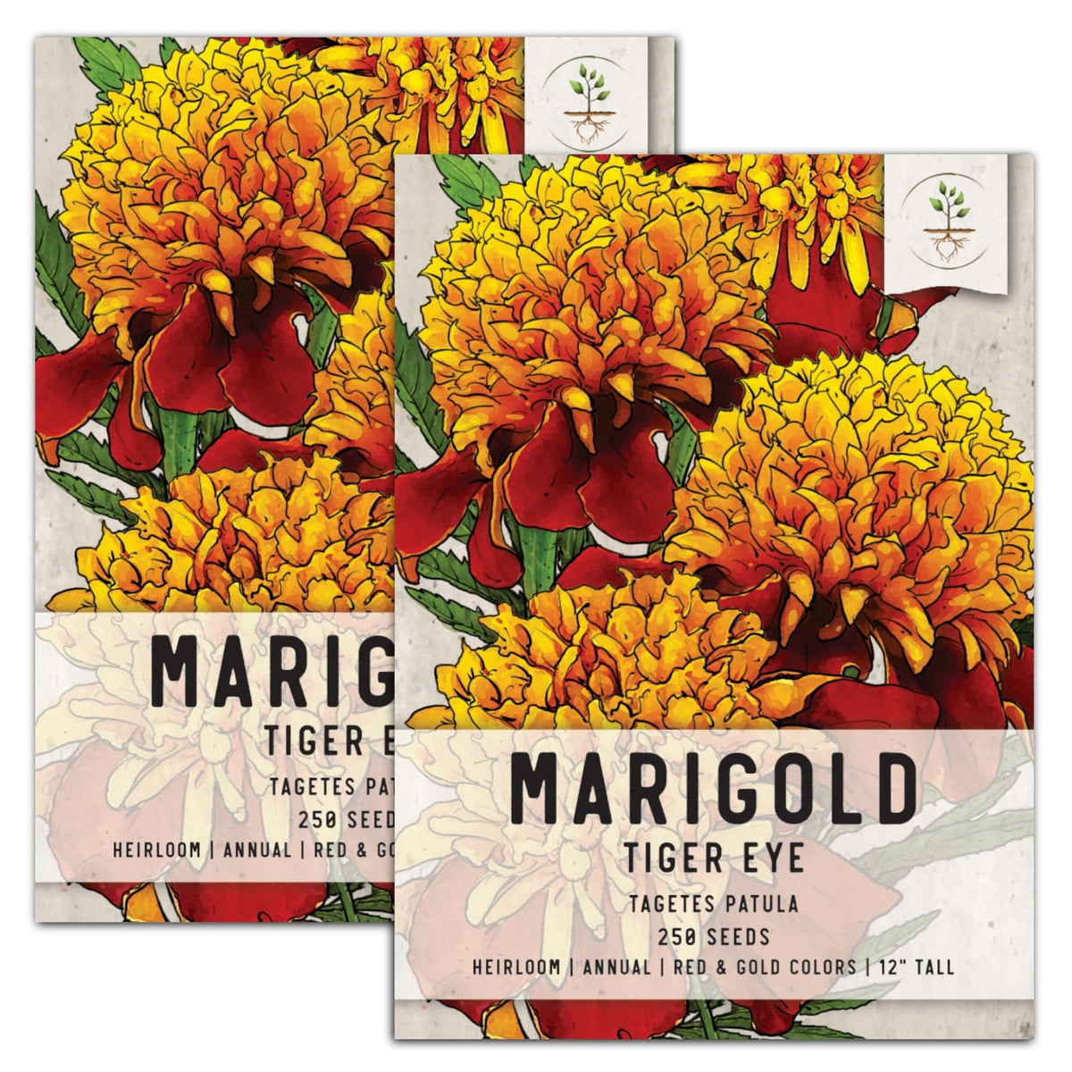 amazing purple tiger face flower seeds Tiger Eye French Marigold Seeds For Planting (Tagetes patula) – Seed Needs  LLC