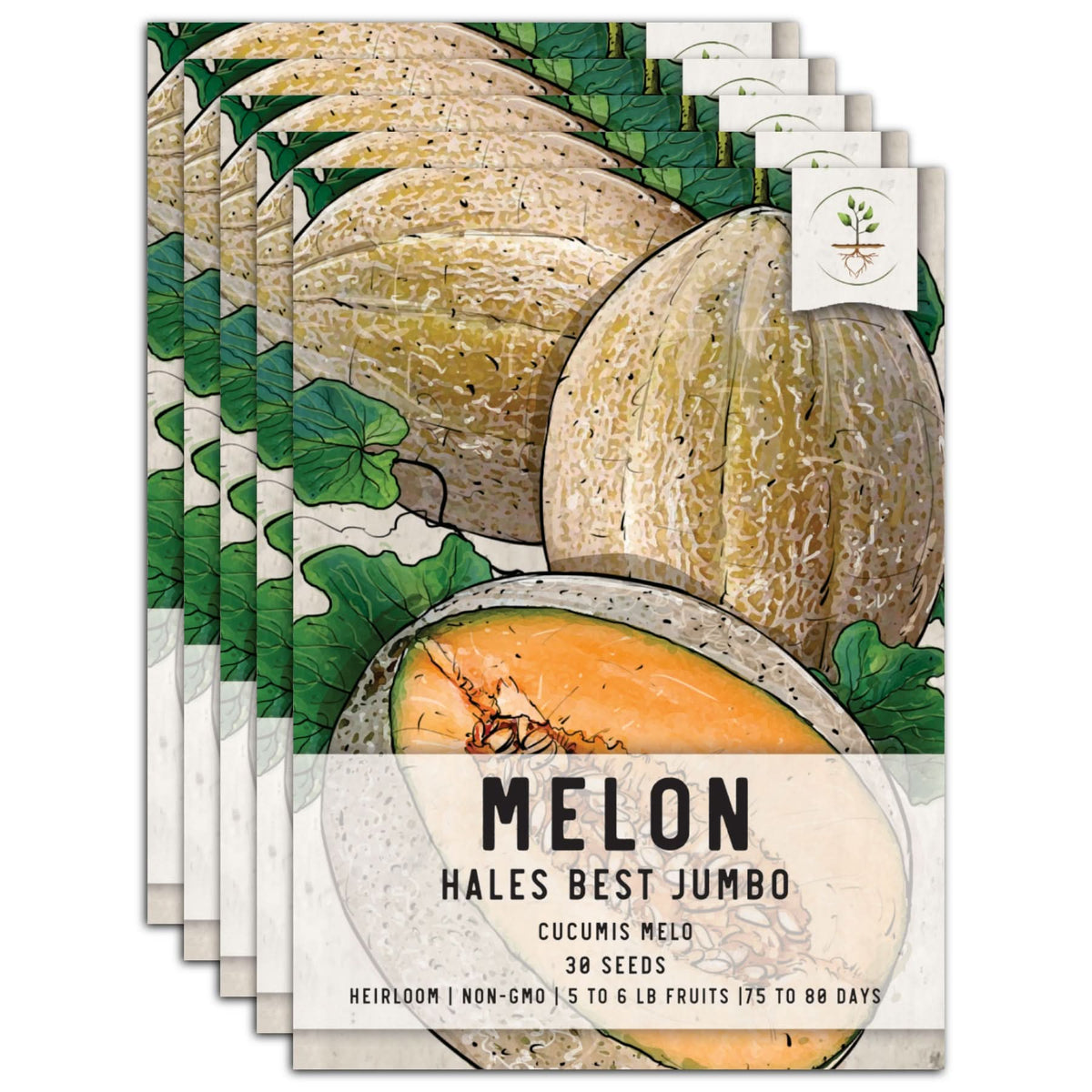 Hales Best Jumbo Melon Seeds For Planting (Cucumis melo) Seed Needs LLC