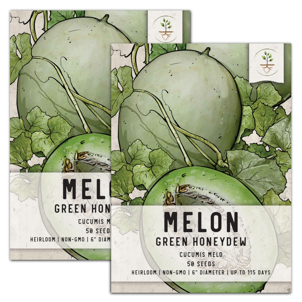 Green Honeydew Melon Seeds For Planting (Cucumis melo) – Seed Needs LLC