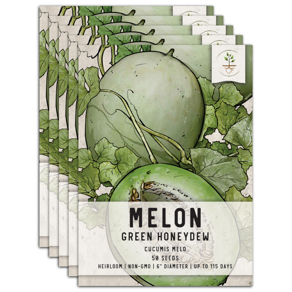 Green Honeydew Melon Seeds For Planting (Cucumis melo) – Seed Needs LLC
