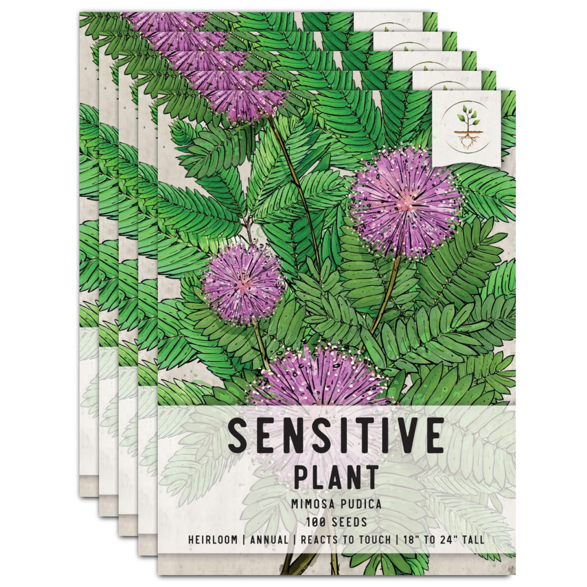 Sensitive Plant Seeds For Planting (Mimosa Pudica) Seed Needs