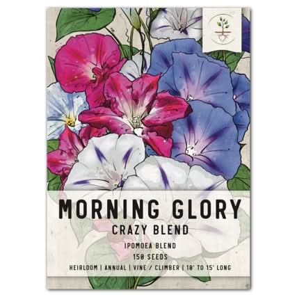 Crazy Mixed Morning Glory Seeds For Planting