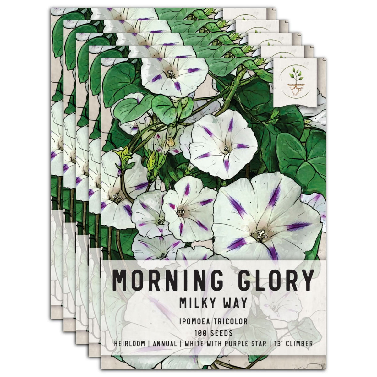morning glory seeds death Milky Way Morning Glory Seeds (Ipomoea tricolor)