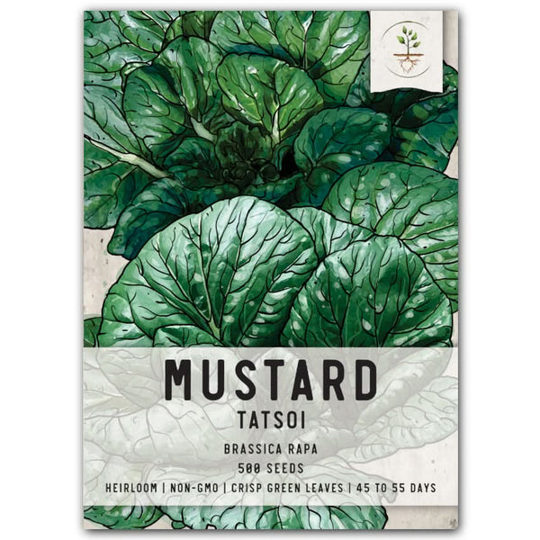 Tatsoi Mustard Seeds For Planting (Brassica rapa)