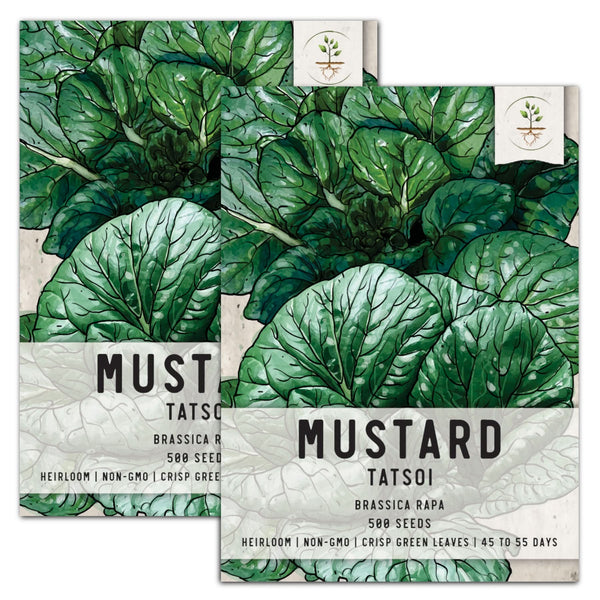 Tatsoi Mustard Seeds For Planting (Brassica rapa)