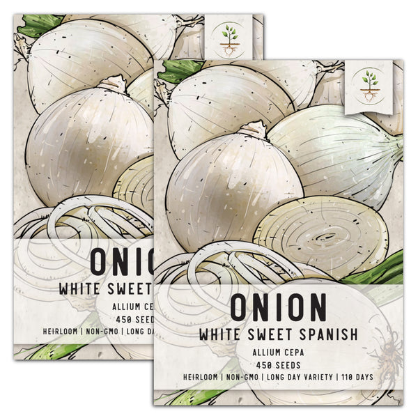 White Sweet Spanish Onion Seeds For Planting (Allium cepa)
