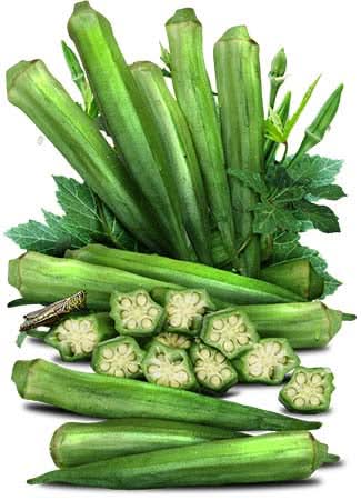 Germisem Clemson Spineless Okra Seeds 6g - Foto 4