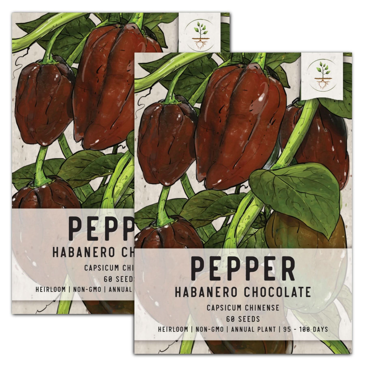 Chocolate Habanero Pepper Seeds For Planting (Capsicum Chinense) Seed