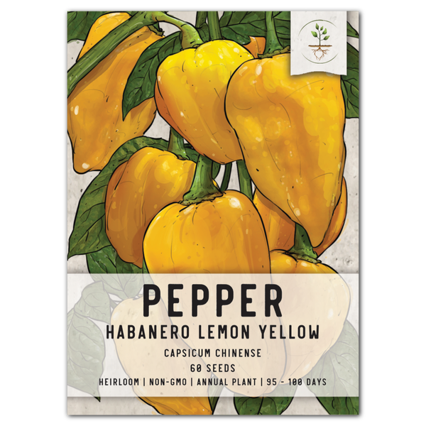 Lemon Habanero Pepper Seeds For Planting (Capsicum chinense)