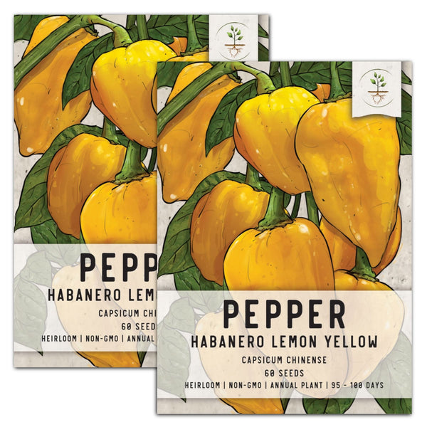 Lemon Habanero Pepper Seeds For Planting (Capsicum chinense)